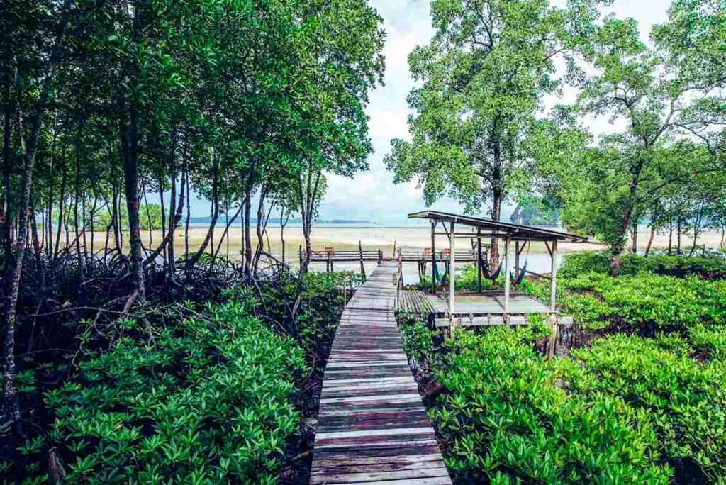 Tha Lane Bay Bananas Resort & Restaurant מראה חיצוני תמונה